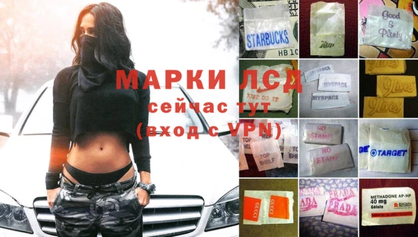 spice Дмитровск