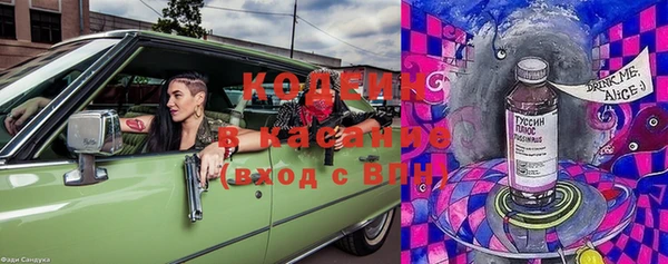 трава Елизово