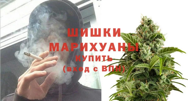 бошки Дмитриев