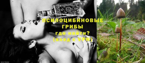 прущая мука Гусев