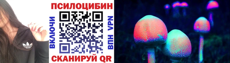 Псилоцибиновые грибы Cubensis  Купить закладки  Карачев 